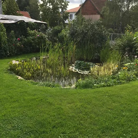 Schoene Gemuetliche Mit Kamin I Im Harz Appartement