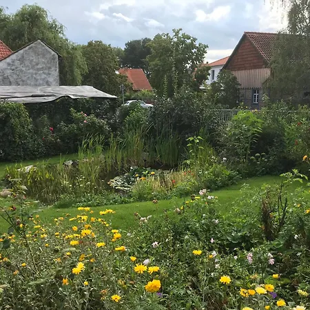 Schoene Gemuetliche Mit Kamin I Im Harz Apartman Darlingerode