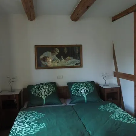 Appartement Schoene Gemuetliche Mit Kamin I Im Harz