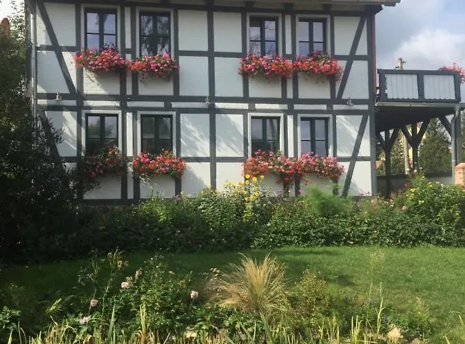 Schoene Gemuetliche Mit Kamin I Im Harz Lägenhet *