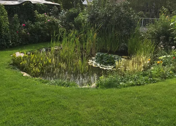 Schoene Gemuetliche Mit Kamin I Im Harz Lägenhet