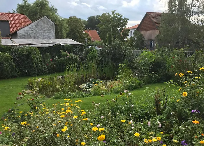 Schoene Gemuetliche Mit Kamin I Im Harz Lägenhet Darlingerode