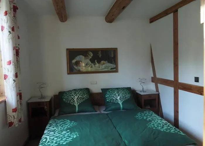 Lägenhet Schoene Gemuetliche Mit Kamin I Im Harz